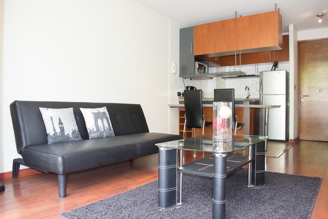 Bellavista Spotlight Apartment サンティアゴ エクステリア 写真